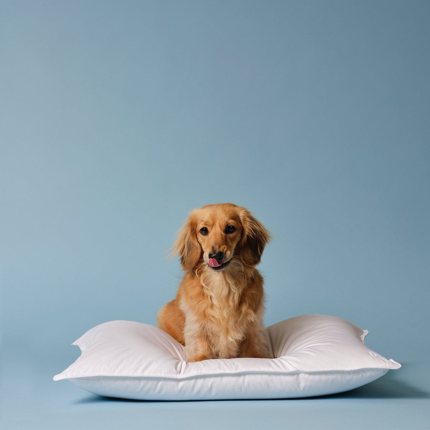 Down Alternative Pillow
