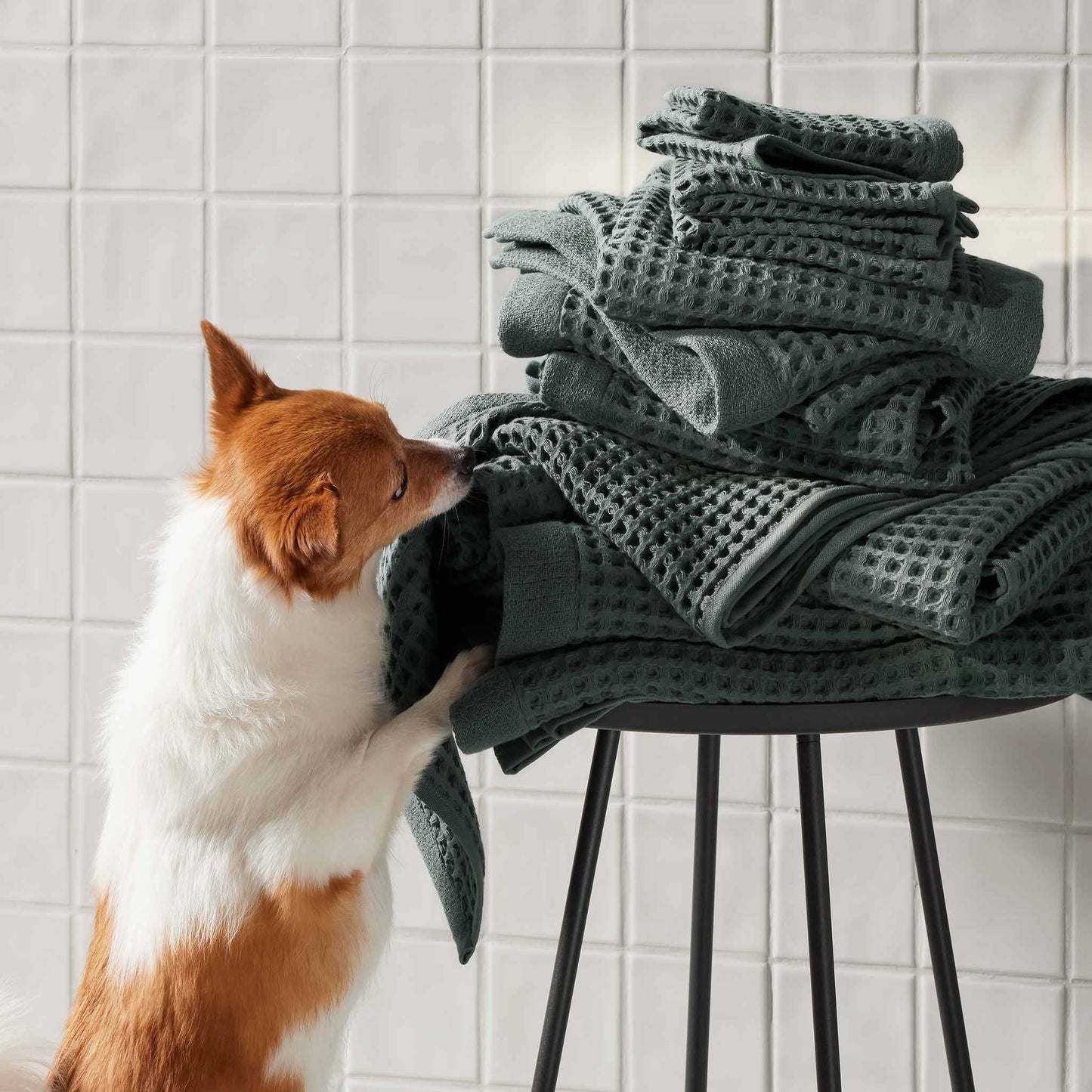 Dreamweave Waffle Washcloths Set of 2