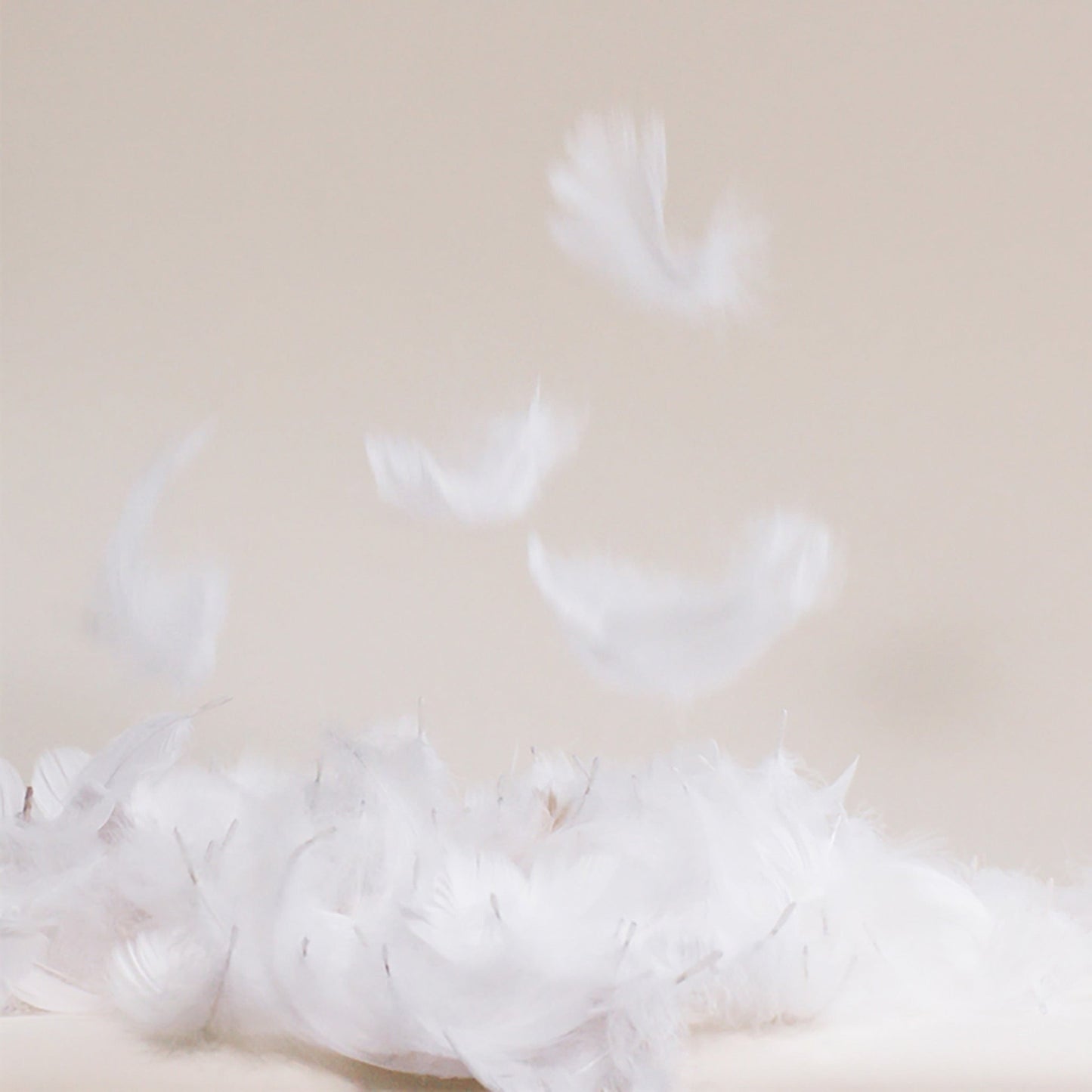 Down Comforter
