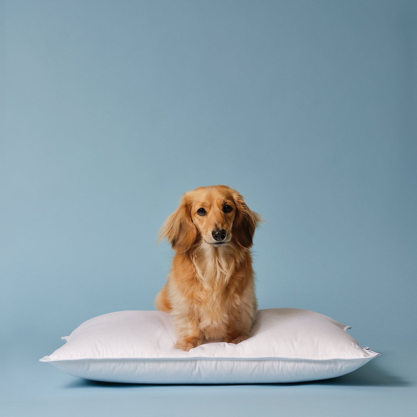Down Alternative Pillow