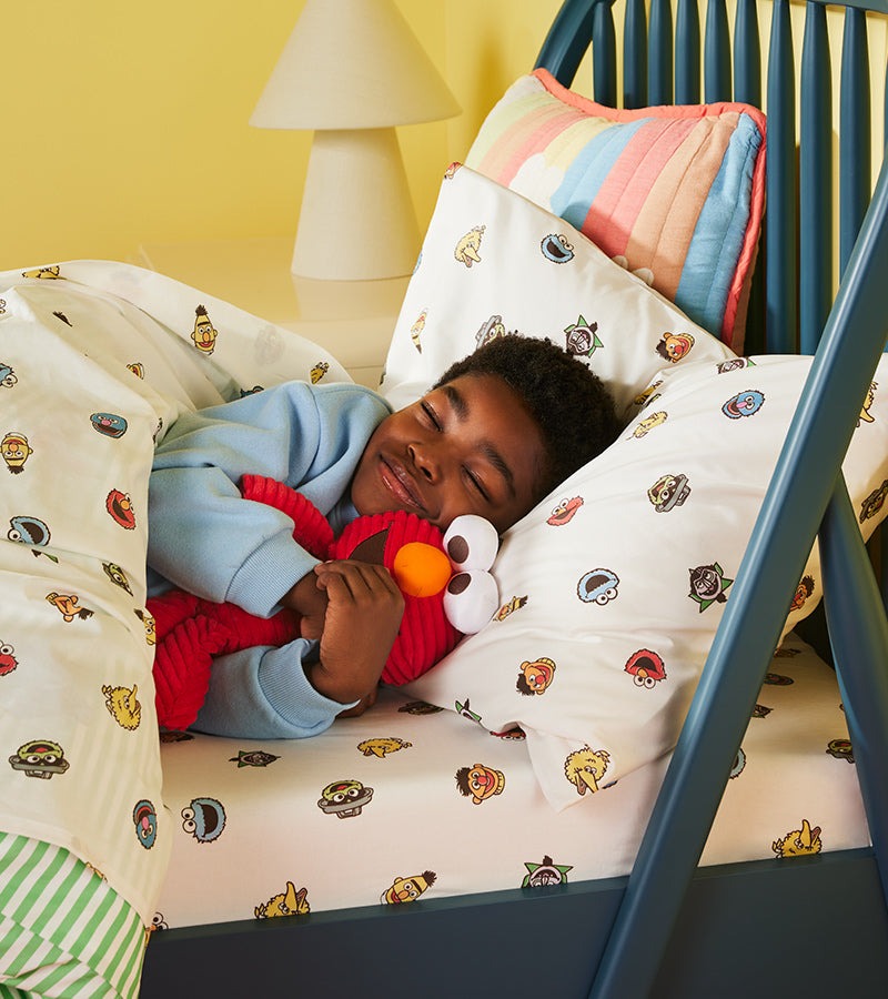 Sesame Street® Core Sheet Set - Last Call