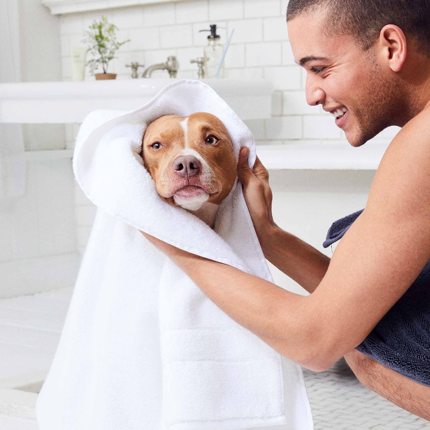 Rewards Super-Plush Hand Towels Set of 2